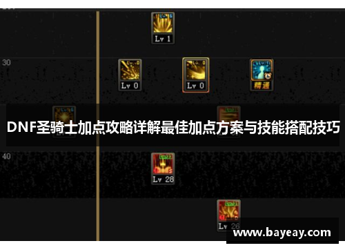 DNF圣骑士加点攻略详解最佳加点方案与技能搭配技巧